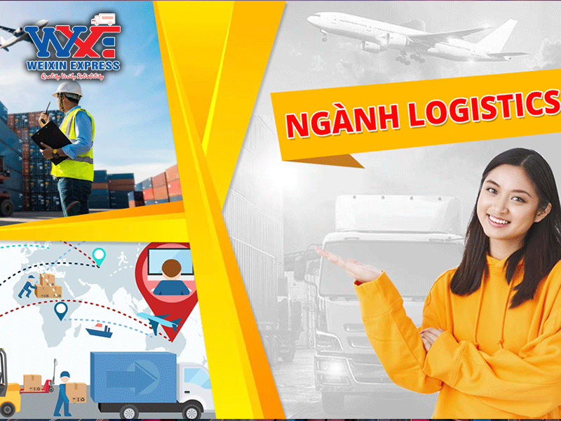 Ngành Logistics và Quản lý chuỗi cung ứng học trường nào tốt?
